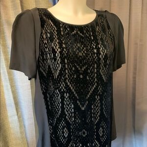 Rebecca Taylor Velvet Semi Sheer Top EUC